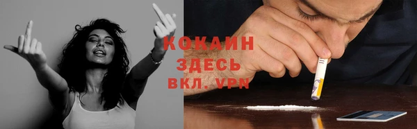 спайс Алексин