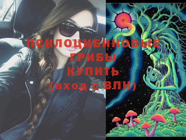 спайс Алексин