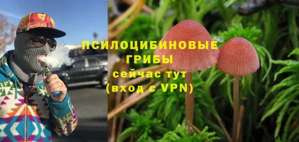 молекула духа Алзамай