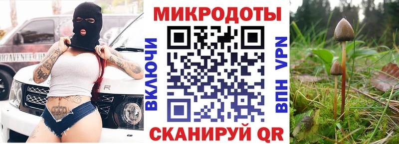 Псилоцибиновые грибы Psilocybine cubensis Льгов